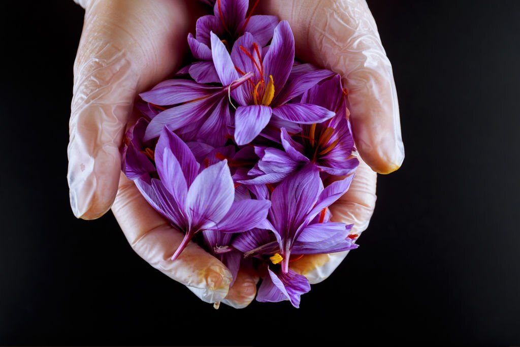 Unlock the Magic of Saffron: High-Quality, Authentic Saffron for the Finest Cuisine!